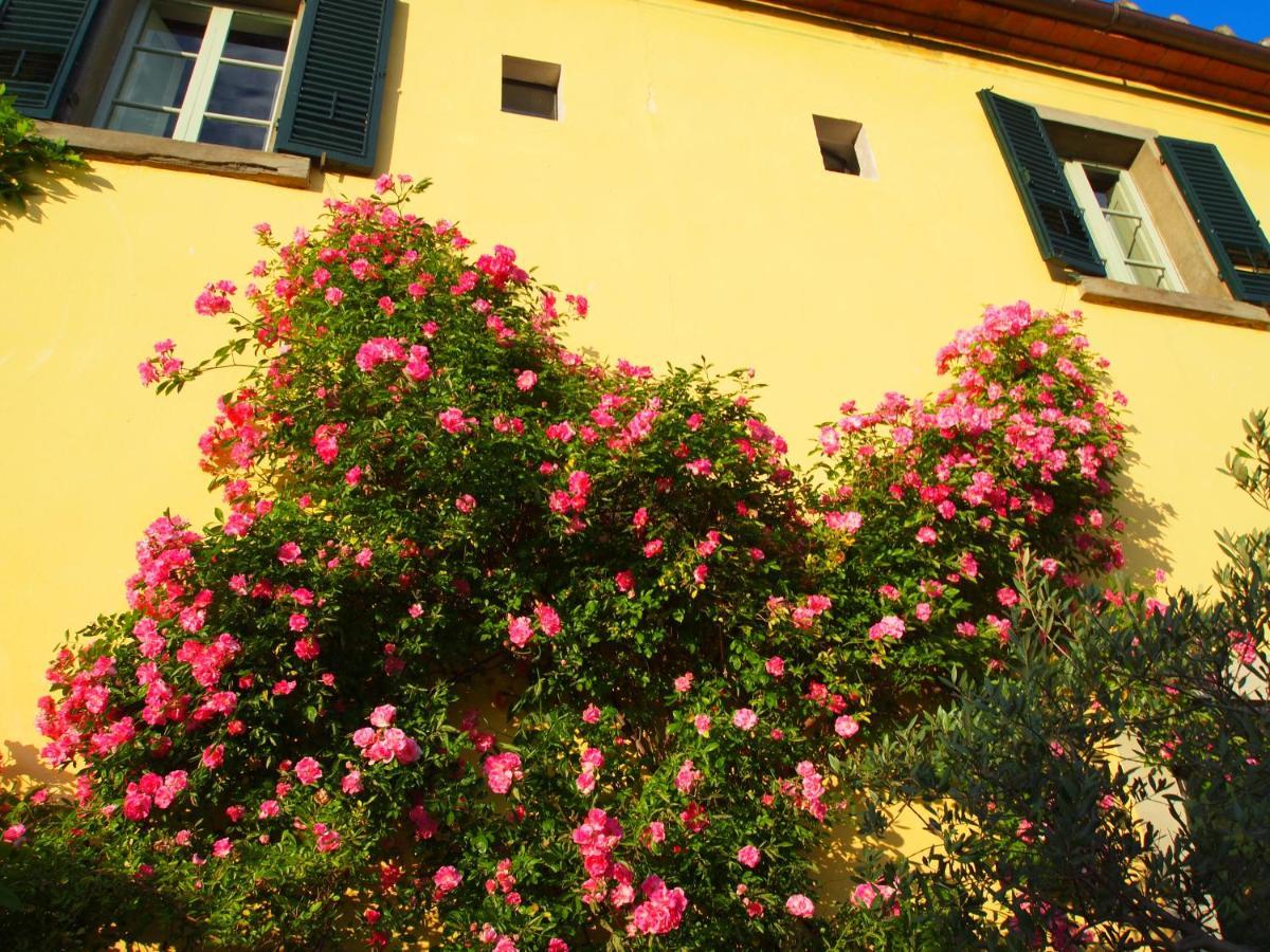 Il Sole Del Sodo Guest House Cortona Ngoại thất bức ảnh