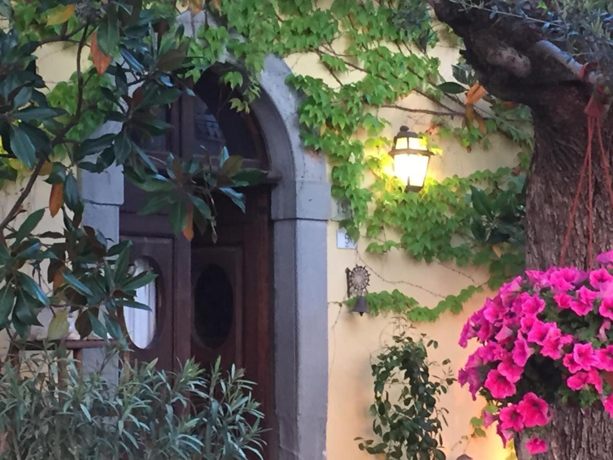Il Sole Del Sodo Guest House Cortona Ngoại thất bức ảnh