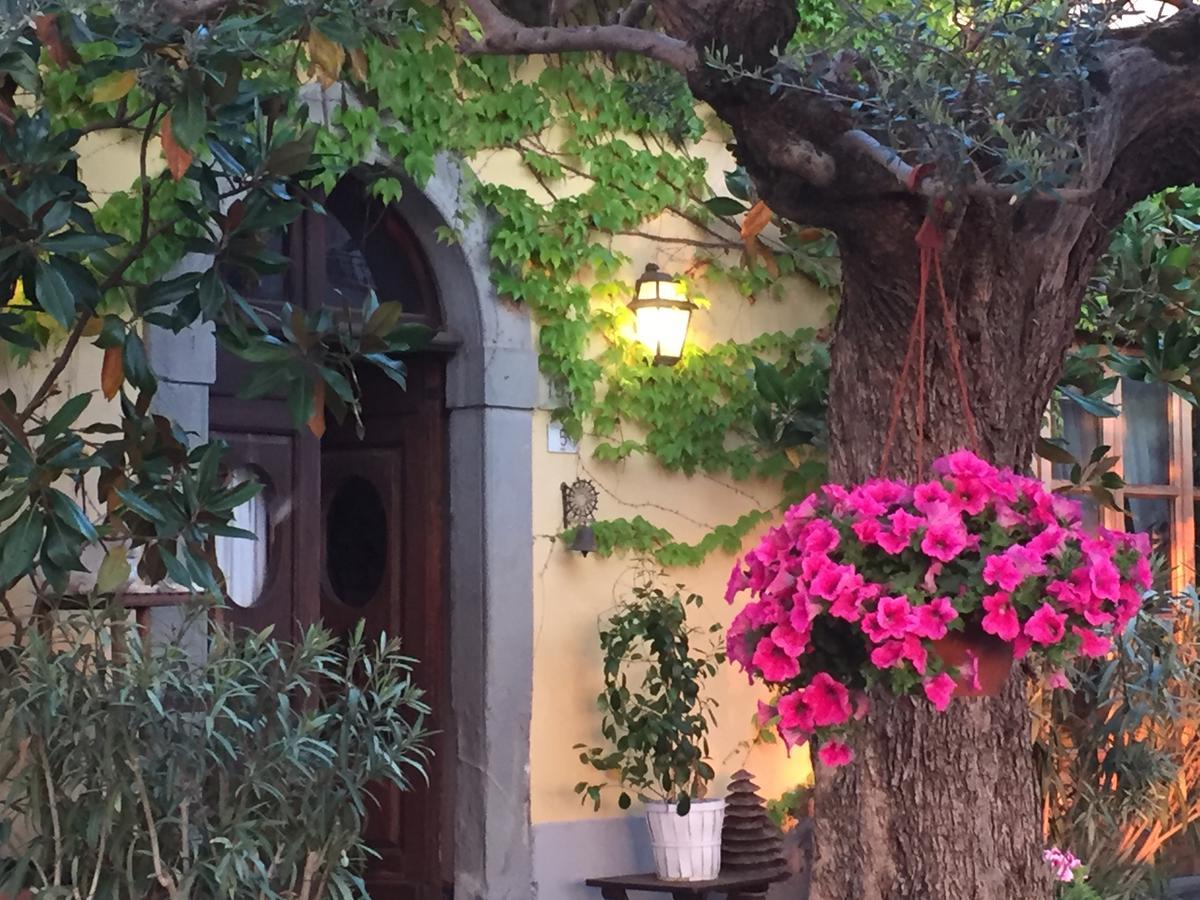 Il Sole Del Sodo Guest House Cortona Ngoại thất bức ảnh