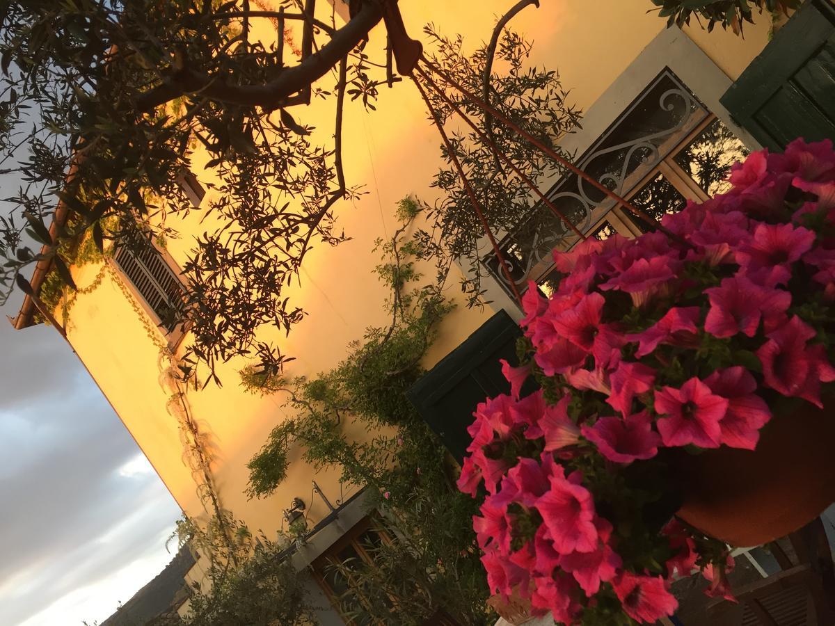 Il Sole Del Sodo Guest House Cortona Ngoại thất bức ảnh