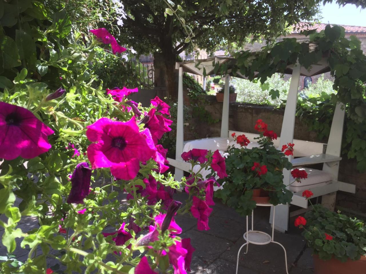 Il Sole Del Sodo Guest House Cortona Ngoại thất bức ảnh