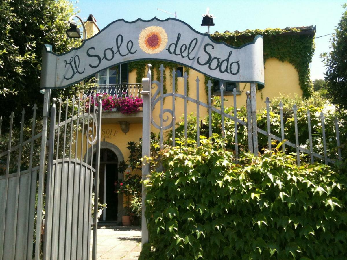 Il Sole Del Sodo Guest House Cortona Ngoại thất bức ảnh